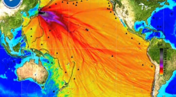 Fukushima és a tengerszennyezés: mit tudunk öt évvel a baleset után? - A cikkhez tartozó kép