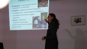 Magyarkanizsa: Egyre nő az ökokertmozgalom népszerűsége - A cikkhez tartozó kép