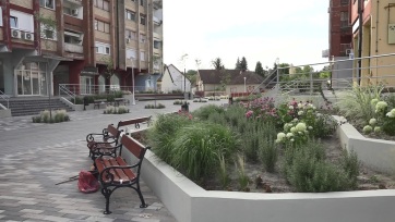 Kertápolás workshop már kora hajnalban Magyarkanizsán - A cikkhez tartozó kép