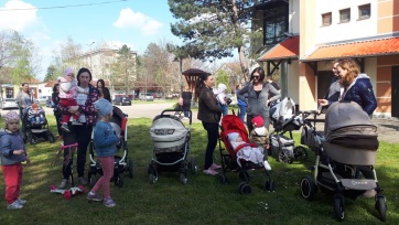Babák és közös facsemetéjük együtt cseperednek fel Horgoson - A cikkhez tartozó kép