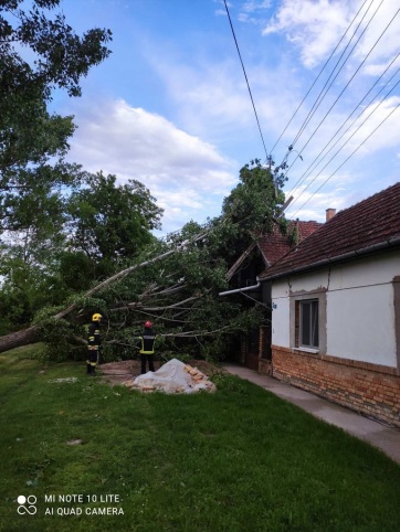 Komoly károkat is okozott a vasárnapi vihar Észak-Bácskában - A cikkhez tartozó kép