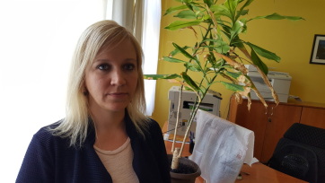 A hónap végéig lehet jelentkezni a magyarkanizsai Cnesa nyelvi képzéseire - A cikkhez tartozó kép