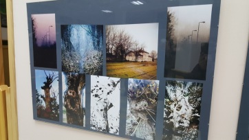 Fotók Horgosról, a Gyűrűk urának elvarázsolt világából - A cikkhez tartozó kép