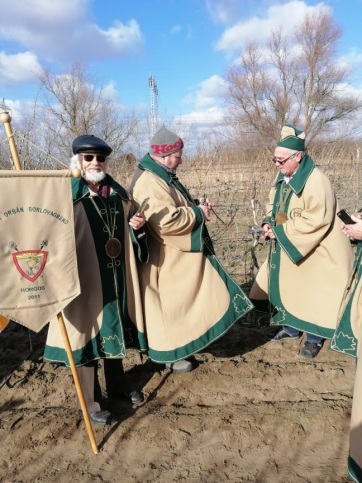 Szent Vince megvigyázta a szőlő rügyeit Horgoson - A cikkhez tartozó kép