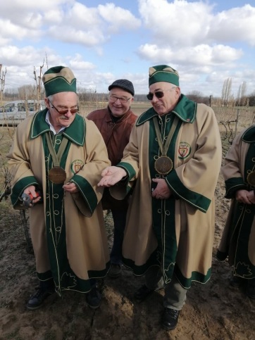 Szent Vince megvigyázta a szőlő rügyeit Horgoson - A cikkhez tartozó kép