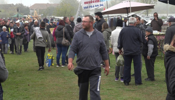 A Magyar Összefogás a kispiaci vásáron  - A cikkhez tartozó kép