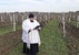 A tőkék megáldása - miniatűr változat