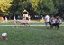Lovaglás - miniatűr változat