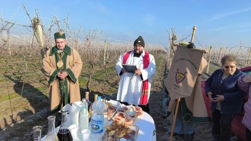 Fényes Vince, tele pince  - A cikkhez tartozó kép