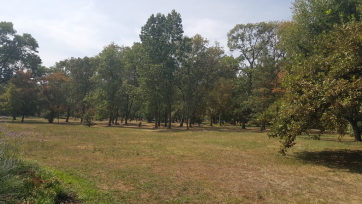 Zöld oázis a Tisza mentén  - A cikkhez tartozó kép