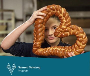 Megjelentek a Nemzeti Tehetség Program idei pályázatai - A cikkhez tartozó kép