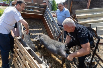 Segítség a károsult gazdaságoknak - A cikkhez tartozó kép