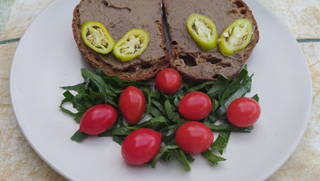 Gombapástétom - illusztráció