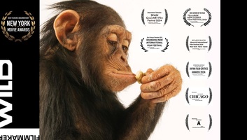 Új sorozat a Dunán: Az élet íze - illusztráció