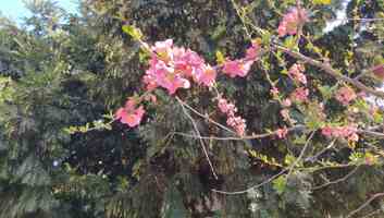 Napos, de szeles idő várható Vajdaságban - illusztráció