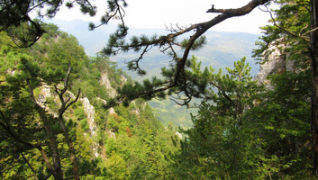 A Szerbiai Fiatal Kutatók szervezetek civil egyesületek és polgárok véleményét várja a természetvédelmi programról - illusztráció