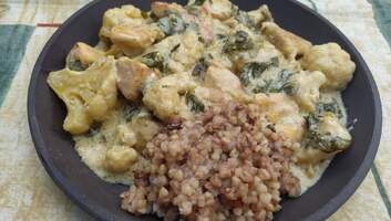 Csirkemell tejfölmártásban - illusztráció