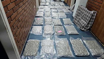 Több mint 58 kilogramm marihuánát foglalt le a rendőrség Kamenicán - illusztráció