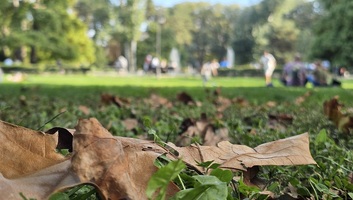 Túlnyomóan napos idő, akár 26 fok is lehet - illusztráció