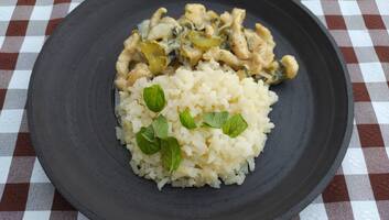 Csirkemell Stroganoff módra - illusztráció