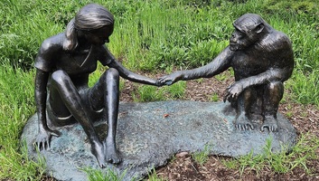A Jane Goodall Intézet regionális központja nyílik Szegeden - illusztráció
