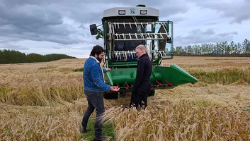 Klímaváltozás: Már az északi sarkkörön is megterem a zab - illusztráció