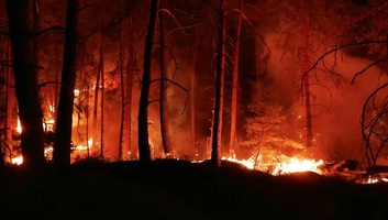 Tűz ütött ki a Párizshoz közeli Fontainebleau-i erdőben - illusztráció