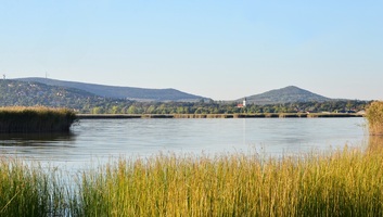 Újabb részletek derültek ki arról, hogy mi állhat a Velencei-tónál történt tömeges halpusztulások hátterében - illusztráció