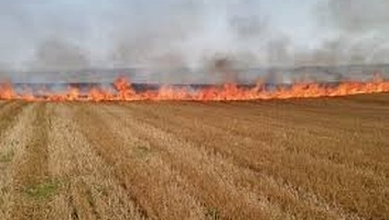 A tarlóégetés a földnek és a környezetnek is árt - illusztráció