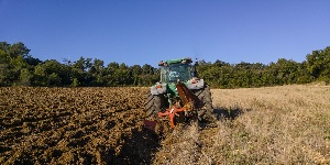 Elfogadták a 2034-ig szóló mezőgazdasági stratégiát: Átalakítják a támogatási rendszert és szabályozzák a piacot - cikkhez fűződő kép