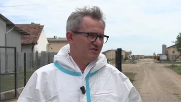 Herkóca: Az afrikai sertéspestis miatt tízezer sertést kell leölni egy telepen - illusztráció
