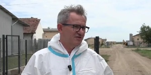 Herkóca: Az afrikai sertéspestis miatt tízezer sertést kell leölni egy telepen - cikkhez fűződő kép