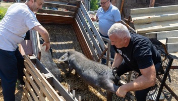 Segítség a károsult gazdaságoknak - illusztráció