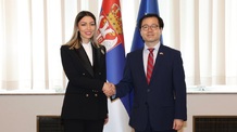 Szerbia és Dél-Korea gazdasági együttműködésének bővítéséről tárgyalt Mesarović - illusztráció