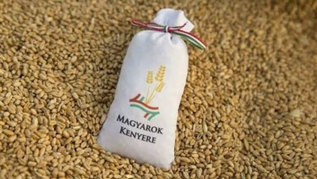 Magyarok-kenyere: Több mint 80 tonna búzát gyűjtöttek össze a kárpátaljai gazdák - illusztráció