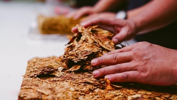 Felszámolták Bulgária történetének legnagyobb illegális cigarettagyárát - illusztráció