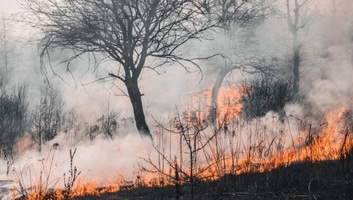 Továbbra is számos tűz pusztít Montenegróban, Észak-Macedóniában és Horvátországban – repülőgépeket is bevetettek - illusztráció