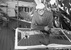 Elhunyt David Hockney, a kortárs művészet egyik legnagyobb hatású alakja - illusztráció