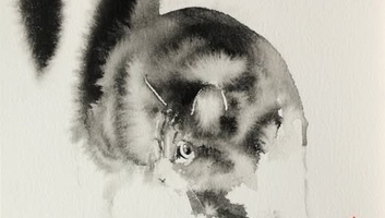 Penovác Endre kiállítása Szegeden - illusztráció