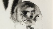 Penovác Endre kiállítása Szegeden - illusztráció
