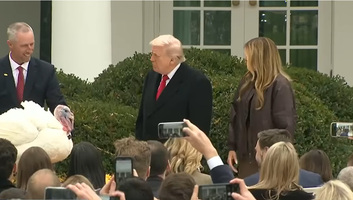 Donald Trump elnöki kegyelmet adott két pulykának követve a Hálaadáshoz kapcsolódó hagyományt - illusztráció