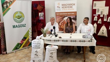 Elindult az idei Magyarok kenyere búzagyűjtés - illusztráció