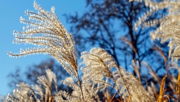 Markáns hidegfront érkezik: Eső, szél és lehűlés vet véget az enyhe őszi napoknak - illusztráció