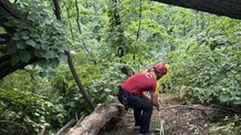 Mentőakció a Tarcal-hegyen - illusztráció