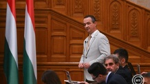 Elfogadta a magyar parlament az új gyermekvédelmi törvényt - illusztráció
