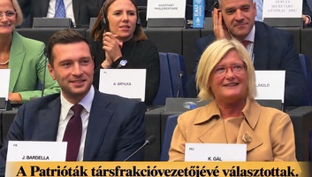 Gál Kingát választották a Patrióták Európáért képviselőcsoport társfrakcióvezetőjévé - illusztráció