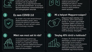 Hegedűs Zsolt: Nincs közvetlen járványügyi fenyegetés a hantavírus miatt Magyarországon - illusztráció