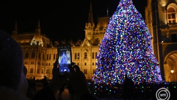 Nyírségi fenyőfa lesz az ország karácsonyfája - illusztráció