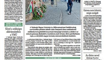 A Magyar Szó október 3-4-ei számából: Nem szakma, hanem hivatás - illusztráció
