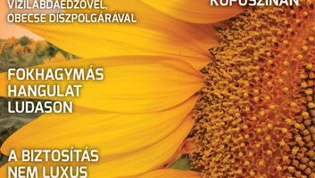 Hét Nap (augusztus 13.): Hőség, szórakozás, jókedv - illusztráció